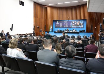 Lei: Sancionada divulgação do Protocolo “Não é Não” em Mato Grosso do Sul