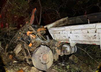 Motorista morre após caminhão cair em ribanceira na MS-215