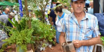 É amanhã! 4ª edição da Ação Agro Social será neste sábado (5) na região das Três Barras