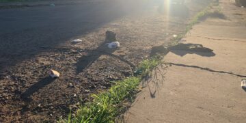 Morador de rua é morto a facadas na Vila Carvalho