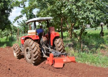 Cadastro Municipal do Produtor: você sabe por que deve fazer?