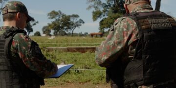 Operação Prolepse: prevenção a incêndios florestais reduz casos em áreas críticas no Estado