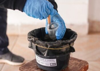 SES promove capacitação para expandir armadilhas de vigilância contra o Aedes aegypti e albopictus