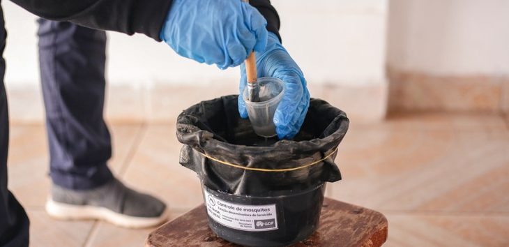 SES promove capacitação para expandir armadilhas de vigilância contra o Aedes aegypti e albopictus