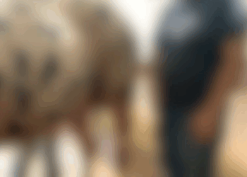 Suspeito de importunação sexual contra quatro vítimas é preso em Paranaíba durante show gospel