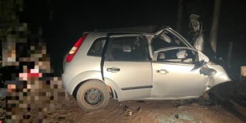 Duas crianças morrem e 5 pessoas ficam em estado grave após carro bater em árvore em MS