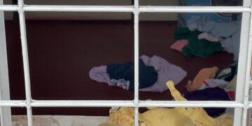 Vídeo: câmeras de segurança capturaram desespero de mãe de Emanuelly em busca da filha