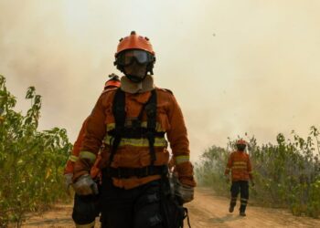 Com menor ocorrência de incêndios florestais, Governo de MS mantém alerta e atuação dos bombeiros