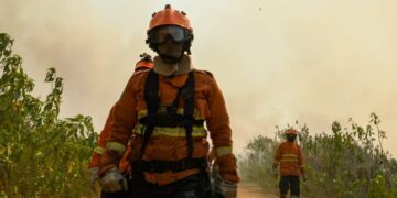 Com menor ocorrência de incêndios florestais, Governo de MS mantém alerta e atuação dos bombeiros