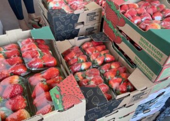 Preço do morango cai após alta impulsionada pela ‘febre’ do amor Preço do morango cai após alta impulsionada pela ‘febre’ do amor