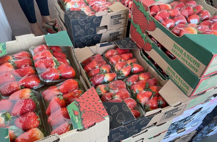 Preço do morango cai após alta impulsionada pela ‘febre’ do amor