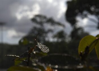 Sol volta a aparecer nos próximos dias, mas frio intenso chega no fim de semana