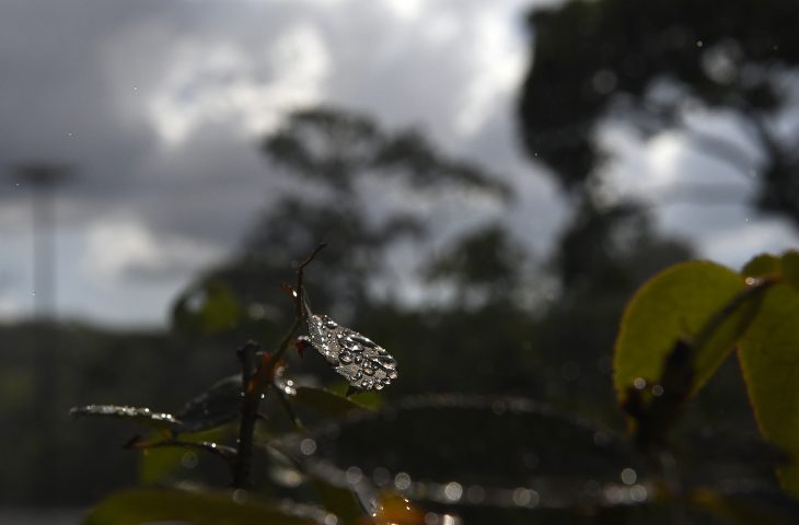 Sol volta a aparecer nos próximos dias, mas frio intenso chega no fim de semana