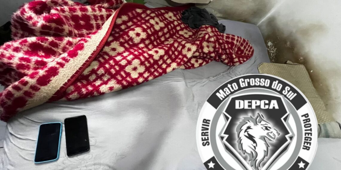 Polícia Civil apreende segurança de escola por abuso infantil na internet