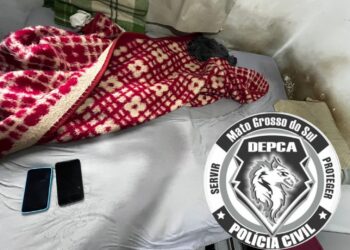 Polícia Civil apreende segurança de escola por abuso infantil na internet