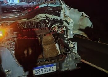 Bovino solto provoca acidente e destrói ambulância UTI na MS-276