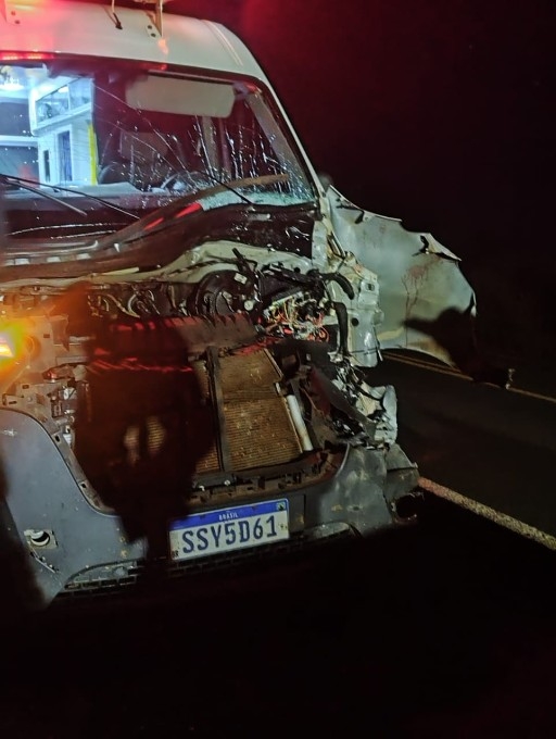 Bovino solto provoca acidente e destrói ambulância UTI na MS-276