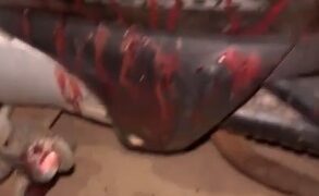 Fugindo ensanguentada, mulher de moto procura socorro após ser esfaqueada pelo companheiro