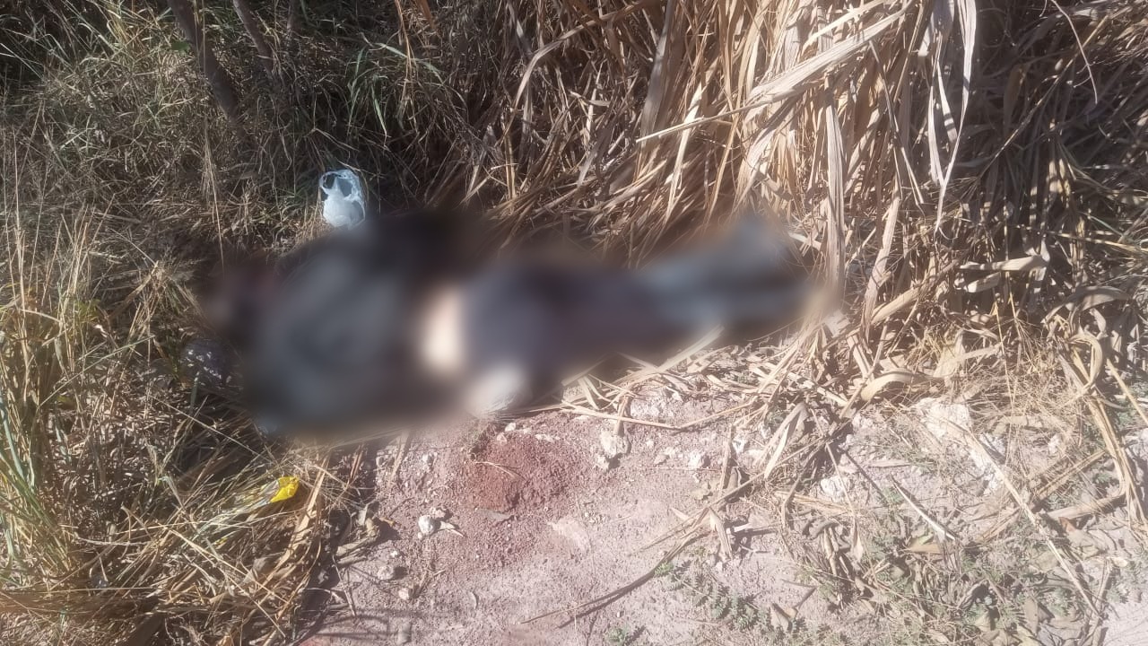 Mulher é encontrada morta com sinais de tortura em área de mata em Corumbá