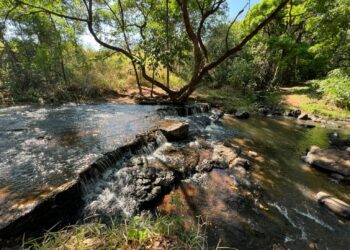 Ceuzinho vai ganhar parque turístico: lazer, turismo e preservação para Campo Grande