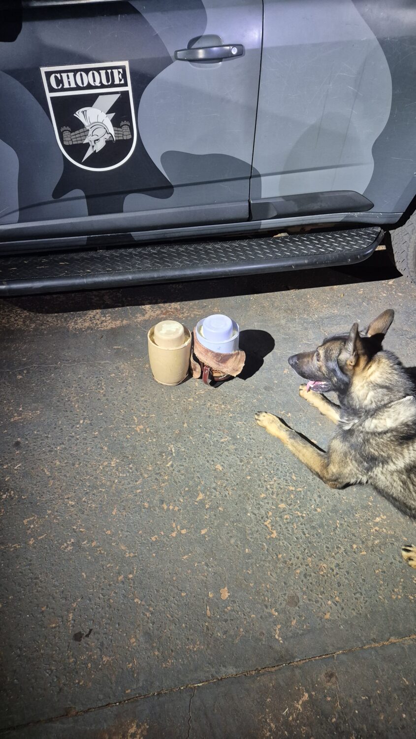 Cão Hulk detecta droga e polícia apreende adolescente com pasta base na rodoviária