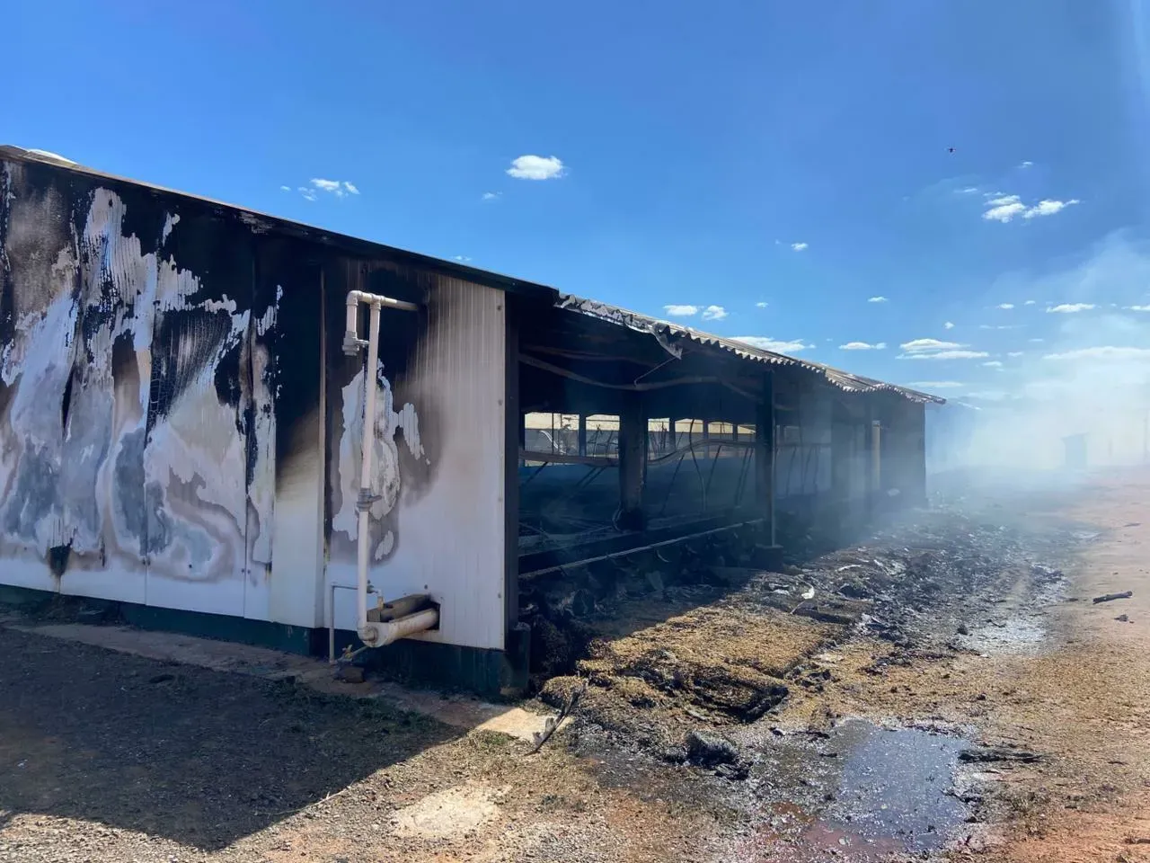 Incêndio atinge granja e mobiliza Corpo de Bombeiros em Chapadão do Sul
