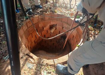Bombeiros resgatam cavalo que caiu em fossa em Aquidauana Bombeiros resgatam cavalo que caiu em fossa em Aquidauana