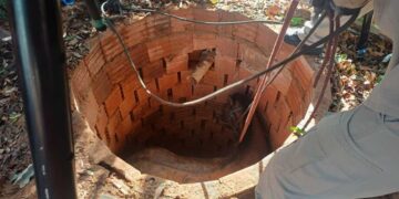 Bombeiros resgatam cavalo que caiu em fossa em Aquidauana