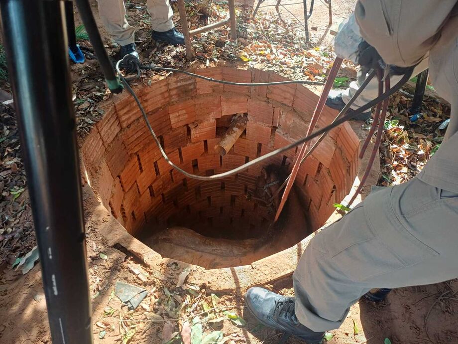 Bombeiros resgatam cavalo que caiu em fossa em Aquidauana Bombeiros resgatam cavalo que caiu em fossa em Aquidauana