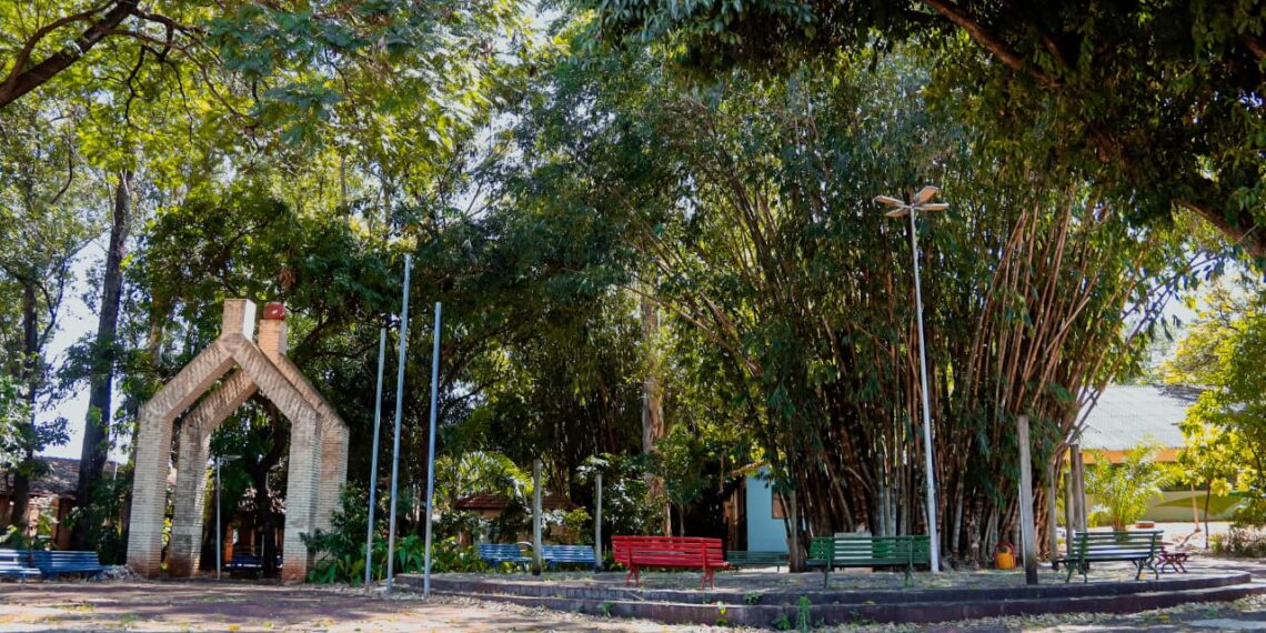 Av. Ernesto Geisel será interditada para remoção de árvores do Horto