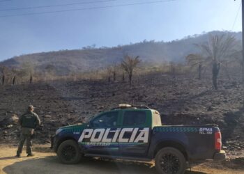 Operação Focus intensifica combate a queimadas ilegais em MS