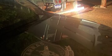 Carga ilegal de R$ 500 mil é achada atrás de óleo de cozinha