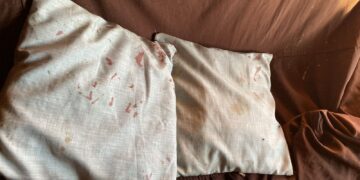 Após discussão, mulher estrangula e mata a companheira em Três Lagoas