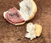 Idoso é preso após matar jovem envenenado em Bataguassu