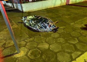 Indígena morto a facada é identificado em Caarapó