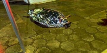 Indígena morto a facada é identificado em Caarapó