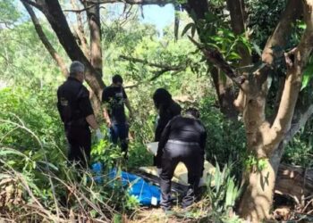 Homem é preso após matar colega a pauladas e ocultar corpo em Naviraí