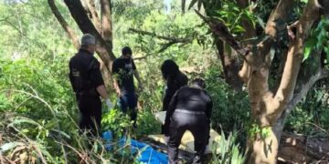 Homem é preso após matar colega a pauladas e ocultar corpo em Naviraí