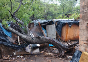 Árvore cai sobre casa em Corumbá durante temporal e causa grandes prejuízos Árvore cai sobre casa em Corumbá durante temporal e causa grandes prejuízos