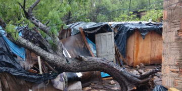 Árvore cai sobre casa em Corumbá durante temporal e causa grandes prejuízos