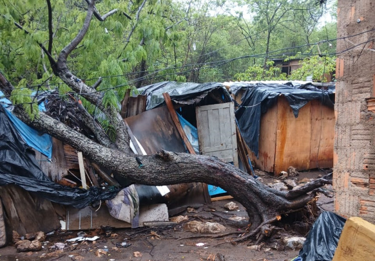 Árvore cai sobre casa em Corumbá durante temporal e causa grandes prejuízos Árvore cai sobre casa em Corumbá durante temporal e causa grandes prejuízos