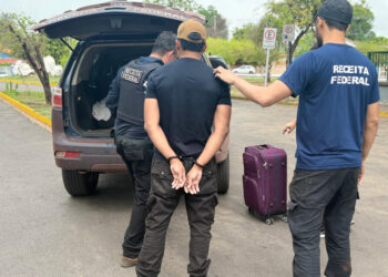 Droga escondida em fundo falso de mala é descoberta com ajuda de cão farejador em Corumbá Droga escondida em fundo falso de mala é descoberta com ajuda de cão farejador em Corumbá