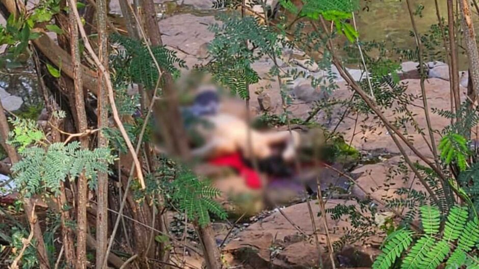Homem é achado morto em córrego no Aero Rancho, em Campo Grande
