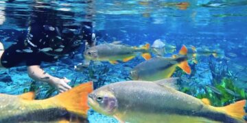 Assembleia Legislativa destaca Bonito em especial sobre Turismo e Sustentabilidade