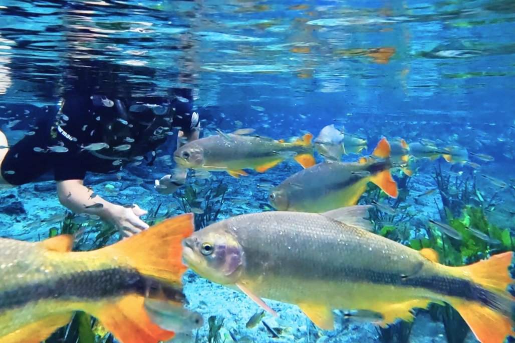 Assembleia Legislativa destaca Bonito em especial sobre Turismo e Sustentabilidade