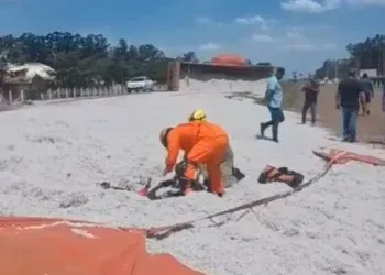 Idosa é soterrada por carga de algodão na MS-306