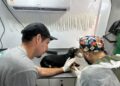 Caravana da Castração chega a Dourados com 1,6 mil vagas para cães e gatos