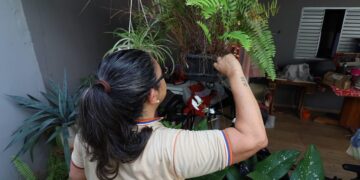 Mobilização no Bioparque do Pantanal reforça cuidados contra o mosquito da dengue