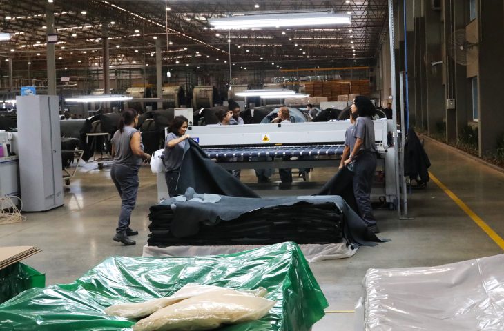 Fiems 46 anos: Prestação de Serviço para Investidores e Indústrias em MS