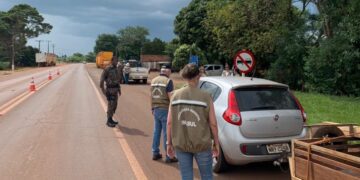 MS inicia Piracema com fiscalização reforçada para proteger rios e peixes